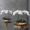 Dekorative Blumenkränze, 1 Stiel, fühlt sich echt an, Latex, künstliche Motte, Orchideenblatt, Schmetterling, Blumenfest, Dekoration für Haus, Hochzeit