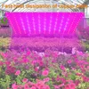 Rood Blue Spectrum Plant Grow Light 169/81 LED's 2835 Lampen Kralen Planten Groeilamp LED-verlichting met roestvrijstalen haak