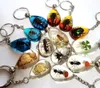 12 PZ Vero Scorpion Four Leaf Clover Fort Crab Bee Keychain per le donne Uomini Boys Vogue Jewelry Jewelry Portachiavi