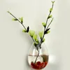 Plantes suspendues mur vase mur verre fleur terrarium long tubulaire clair décor à la maison hydroponique eau homeliving wallvase 210409