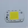 Light Beads LED Lamp Drive-free 220V Source Integrated Surface 20W30W50W Full Spectrum Plant White
