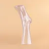 Ny ankomst Clear Foot Mannequin Transparent modell för visning