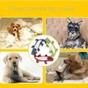 Snabb leverans 2020 Ny Pet Dog Toy Linne Plush Animal Toy Dog Chew Squeaky Buller Rengöring Tänder Toy Chew Training Supplies