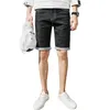 Men's Jeans Pants Summer 2022 Korean Youth Casual Thin Fashion