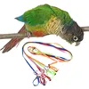 Harnais coloré pour perroquet et oiseau, réglable, Hamster, tortue, lézard, corde de Traction, rênes, collier en forme de 8, laisse pour animaux de compagnie