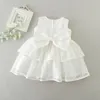 Robes de fille en gros petites filles dentelle vêtements bébé fête anniversaire mariage né baptême robes robe W8