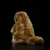 かわいいマーモットリアルライフプラシュのおもちゃ柔らかいSciuridae人形生物動物プレーリー犬のぬいぐるみの子供たちKawaiiクリスマスグラウンドホッグギフトQ0727