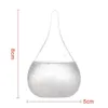 30ml Transparent Gouttelette Tempête Verre Goutte D'eau Prévisions Météo Prédicteur Moniteur Bouteille Maison Baromètre Décor 210607