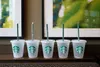 Starbucks 16oz/473ml Pillar Shape Lid Straw Mug Bardian Plastic Tumbler Reusable Clear Drinking Flat Bottom Cup 5pcs