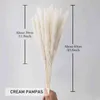 Natural Real Pampas Grass Table Dried Flowers Decor Boho Artificial Plants Mariage Home Decoration Wedding Christmas Accessories 211122