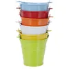 Buckets 6pcs Mini Tin Bucket Succulent Plants Portable Canister Flower Storage