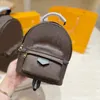 حقيبة الكتف المزدوجة للسيدات الأكياس الأكياس غير الرسمية مع ثلاثة أحجام من Messenger Pack Handbag2405