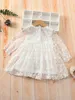 Baby Flounce Sleeve Floral Embroidered Mesh Dress SHE