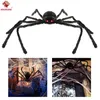 50% di sconto per la decorazione di Halloween per feste Black Spider Haunted House Prop Indoor Outdoor Giant 3 Dimensioni 30cm 50cm 75cm ottie