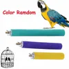 Autres fournitures pour oiseaux couleur aléatoire Cage pour animaux de compagnie jouets à mâcher perroquet perchoirs support Station de meulage plate-forme pour morsures perruche produits