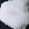 24-26 дюймов (60-65см) белые перья страуса пера для свадебных центров свадебные вечеринки декор событий праздничное украшение