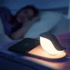 Saklama Torbaları Wonderlife Cep Telefonu Kablosuz Şarj Nightlight Set Sıcak Ton Işık Tabanı