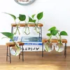 Hydroponiczne wazony roślinne Vintage Glass Staletop Rośliny Bonsai Flowerpots Home Dekoracyjne wazę drewniane podstawowe darowizny ślubne 210409