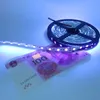 Umlight1688 nouvelle bande lumineuse LED 50 M 5050 SMD 60 LED s/m UV violet Flexible DC 12 V lumière LED bande d'éclairage ruban lampe