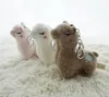 Wholesale Lindo Alpaca Peluche Toys Llavero Bolsa Charm Adornos de animales Relleno Colgante gratis por epack yt199505