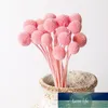 Couronnes de fleurs décoratives 3 / 7pcs Fleur séchée Décoration de la maison Boule végétale préservée Naturel Eternell Craspedia Globosa Bouquets Forever Go Expert en prix d'usine