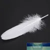 50pcs/set White Natural Goose Feathers Party Crafts DIY Decoration 6-8inch/15-20cm for Craft Handicrafts Shoes Hats Decoration Factory price expert design Quality