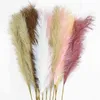 5 pcs Faux Pampas Grama Grande 120/100 / 85cm Buquê de Flores Buquê Falso Decoração Artificial Alta Hastes Fluffy Sala 211120