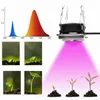 COB Grow Light Indoor 2000W Phyto Lamp LED Växter Full Spectrum Growth Lights Tent Box Lampor För Hem Växtblommor