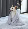 犬犬小屋毛布