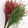 30G Lover Grass Natural Fresh Torked Bevarad Dancing Flowersreal Forever Flower Branch For Home Decor Bouquet Decorative Flowers4799710