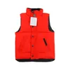 Kids Waistcoat Boys Jackets Girl Winter Coats Classic Letter Vest Down Clothe Baby Teen Clothes Outerwear Children Clothing Coat Jacket Cardigans Weskit