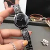 Robe femmes diamant montre Top marque strass montres pleine bande en acier inoxydable montres à quartz pour dame fille cadeaux de Noël268g