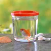 Betta Cups Quallenfische Mini Kleiner transparenter Kunststoff mit Deckelbecher Aquarium