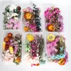 Neue 1 Box Echte Getrocknete Blumen Trockene Pflanzen Für Aromatherapie Kerze Harz Anhänger Halskette Schmuck Machen Handwerk DIY Zubehör EWD5785