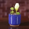 IJs gebarsten mini keramische bloempot succulents tuin potten bloemen cultiveren bodem ademend bloempot huisdecoratie BH6124 TYJ