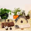 Kleintierbedarf, 7 Teile/satz, effektives Hamster-Kauspielzeug-Set, mehrteilig, Molar, umweltfreundlich für Tiere