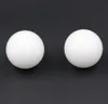 2021 25mm Delrin (Pom) / Celon Plastic Solid Balls do składników zaworów, Niskie łożyska, aplikacja gazowa / wodna