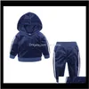 Bebek Bebek Annelik Bırak Teslimat 2021 Moda Erkek Kız Eşofman Giyim Setleri Çocuklar Spor Giymek Rahat Suit Hoodiespants 2 adet Set Çocuklar