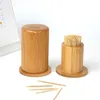 portable toothpick holder