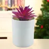 Decoratieve bloemen kransen faux bonsai nee wittende kunstmatige kleurrijke herbruikbare uitstekende succulente plant met pot