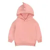 Dzieci Tales Przyjazd Sprężyna Ciepły Polar Bluzy Dino Baby Boys Girls Hoody Starsze Dzieci Pullower Outerwear 6M-12Y 220115