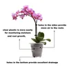 20 stks / partij MeshPot 10cm Clear Plastic Orchid Cactus Potten Succulente Planter met Gaten Lucht Snoeien Functie Wortel Growth Slots 210401