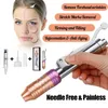 Latest Mesotherapy Gun Hyaluronic Pen Massage Atomizer Pen Kit High Pressure with Ampoule Head and Needle for Sale