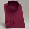 Botão de colar de stand-up de manga comprida Camisa regular Homens de negócios FormA FORMA ROUNHAS DE MODANTES Trendências de camisas chinesas vestido