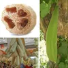 500 шт. Natural Loofah Направляющие на лице 8 * 8 СМ Лофа-Диск Макияж Удалить губки Отшелушивающие Лицо Loofahs Pad Luffa Loofa Щетки Многие другие размеры