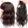 MEIFAN Synthetic Toupee 3-Clips On One Piece Extension With Bangs For Women Cover the White Hairpiece