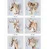 Европа в форме животных крючки олень stags носорог лошадь жираф слон головы настенный вешалка пальто для шляпной шляпной стойки держатель дома декор 210414