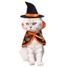 Kedi Kostümleri Cadılar Bayramı Komik Pelerin Noel Köpek Giysileri Küçük Cosplay Cuaurbit Kostüm Sihirbaz Şapkalı Yakalar Partisi Dekorasyon