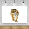 Party Decoration Thin Animals POGRAPHY BACKDROPS 3D Cool Tiger Printed Po Bakgrund Födelsedekor för POS Studio