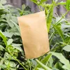 Vasi per fioriere Confezione da 100 buste per semi di carta Kraft Mini pacchetti Borsa per la conservazione della casa da giardino Cibo Tè Piccolo regalo4327914